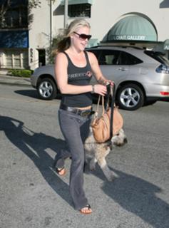 Ali Larter's Feet (152488)