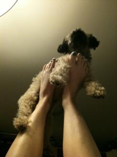 feet as beautiful feet 2011 12 ...